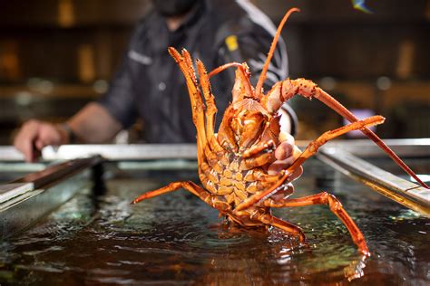 龍蝦王餐廳怎麼樣，你知道他們的龍蝦會跳舞嗎？